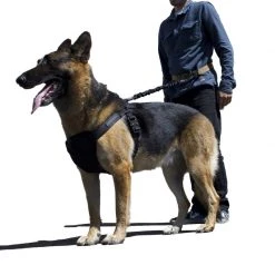 Fusion K9 Trekker Harness