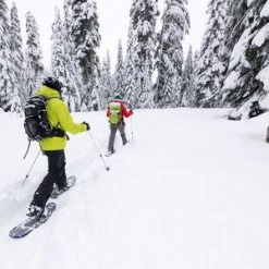 MSR DynaLock Trail (80-140 CM) Backcountry Poles