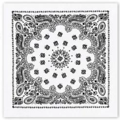 Rothco Trainmen Paisley Bandana - 22