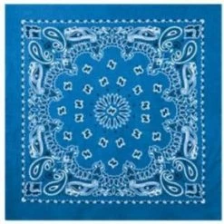 Rothco Trainmen Paisley Bandana - 22