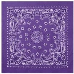 Rothco Trainmen Paisley Bandana - 22