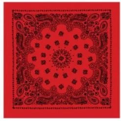 Rothco Trainmen Paisley Bandana - 22