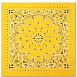 Rothco Trainmen Paisley Bandana - 22