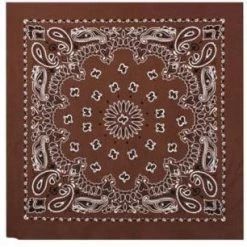 Rothco Trainmen Paisley Bandana - 22
