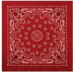 Rothco Trainmen Paisley Bandana - 22