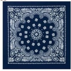 Rothco Trainmen Paisley Bandana - 22