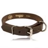 Boston Leather 1½ Single Ply K-9 Collar 2 Boston Leather 1½ Single Ply K-9 Collar