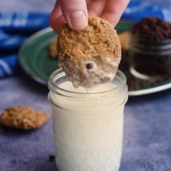 Nutrient Survival Chocolate Chip Cookie-Meals MREs