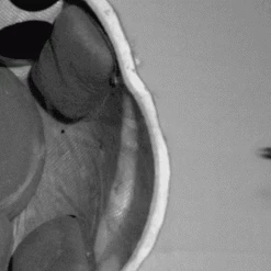 Galvion Batlskin Viper P4 Helmet Mid Style 11 Galvion Batlskin Viper P4 Helmet Mid Style