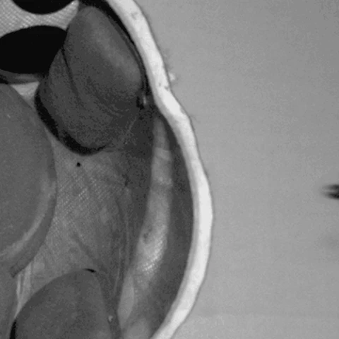 Galvion Batlskin Viper P4 Helmet Mid Style 5 Galvion Batlskin Viper P4 Helmet Mid Style