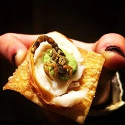 Novelties Lil Bugz Edible Scorpions, Superworms And Crickets