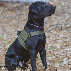 K9 Dog Gear Voodoo Tactical Alpha K9 Mark 1 Duty Harness