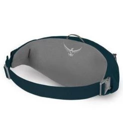 Fanny Packs Osprey Daylite Waist Pack