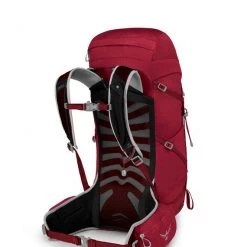 Osprey Talon 33 Backpack Weekend Backpacks 19 Osprey Talon 33 Backpack Weekend Backpacks